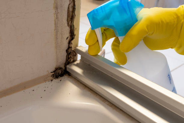 Best Crawl Space Mold Removal  in Highland Park, IL