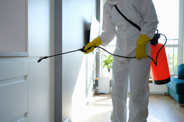 Best Home Mold Removal  in Highland Park, IL
